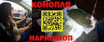 винт Партизанск