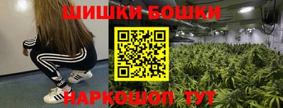винт Партизанск