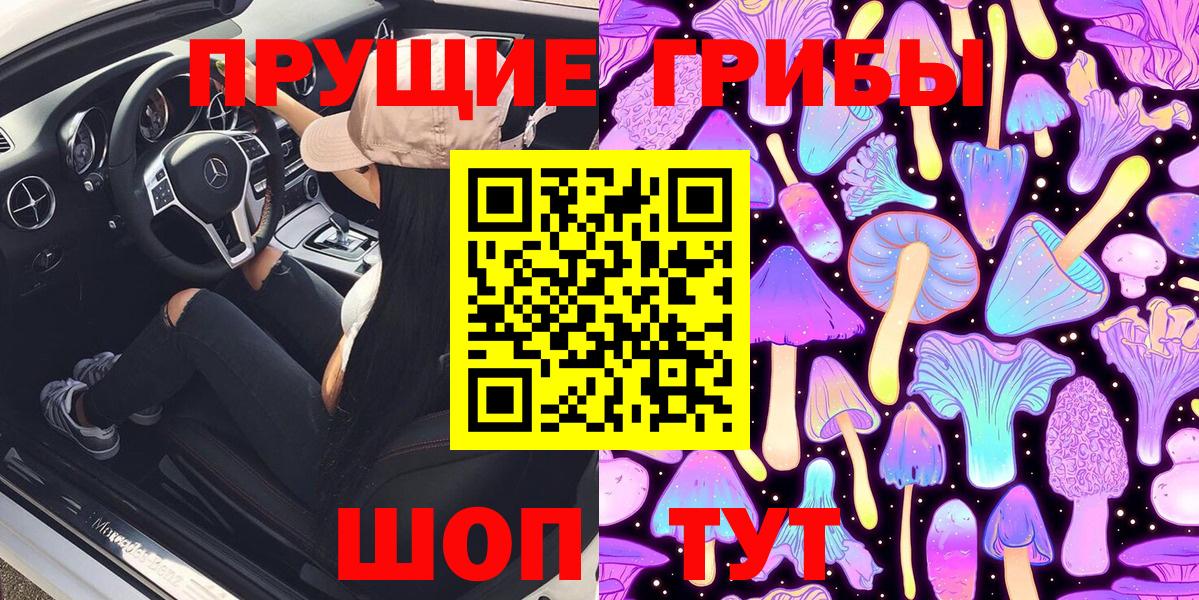 Псилоцибиновые грибы Psilocybine cubensis Петрозаводск