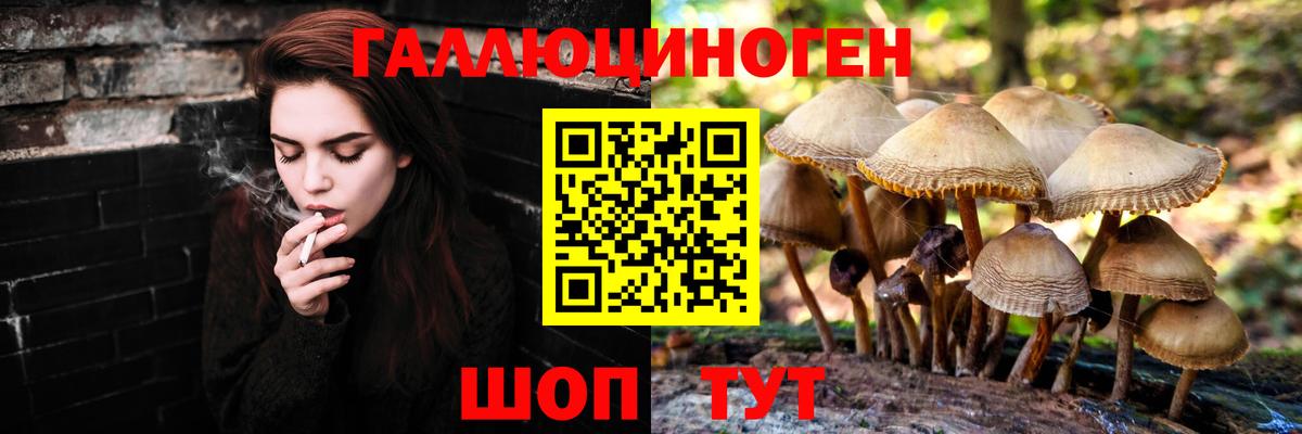 Псилоцибиновые грибы Magic Shrooms  Вход с VPN  Петрозаводск  Галлюциногенные грибы MAGIC MUSHROOMS 